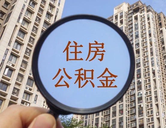 东平退休后查不到公积金明细了吗（退休后公积金查询不到原因）